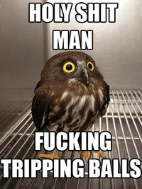 Tripping Balls