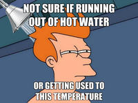 Futurama Fry / Not Sure If X
