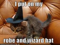 Robe And Wizard Hat