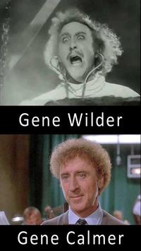 Name Puns