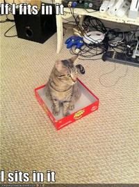 If It Fits I Sits