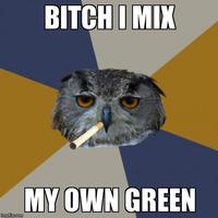 Art Student Owl