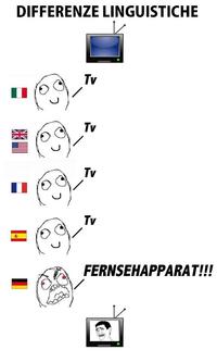 Differenze Linguistiche