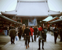 Wigglegrams