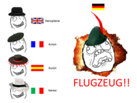 Differenze Linguistiche