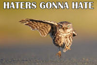 Haters Gonna Hate