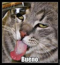 Bueno