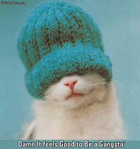 LOLcats