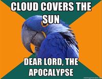 Paranoid Parrot