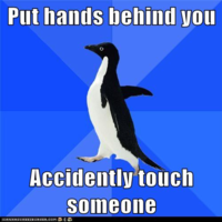 Socially Awkward Penguin
