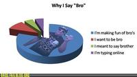 Bro