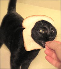 Breading Cats