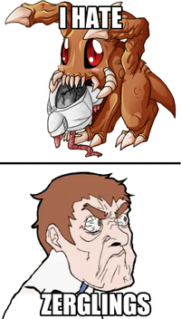 I hate zerglings!