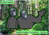 That Really Rustled My Jimmies