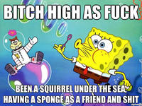 Bitch High as Fuck