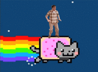 Nyan Cat / Pop Tart Cat