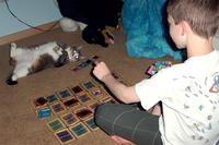 Cats
