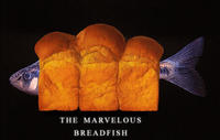 Breadfish