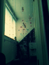 Cinemagraphs