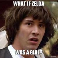 Link & Zelda Confusion / What if Zelda was a girl?