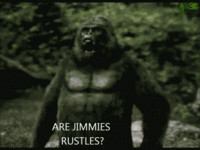That Really Rustled My Jimmies
