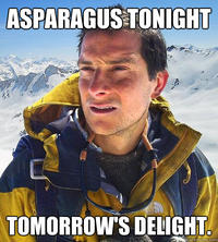 Bear Grylls / Better Drink My Own Piss