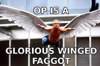 OP is a Faggot