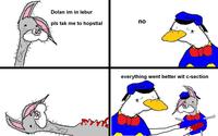 Dolan