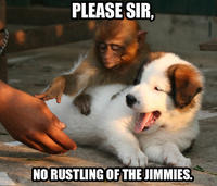That Really Rustled My Jimmies