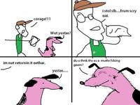 Dolan