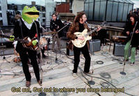 Get Out Frog / Frogout / Me Obrigue