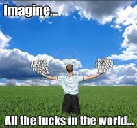 Look At All The Fucks I Give
