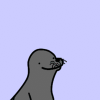 Homophobic Seal