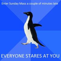 Socially Awkward Penguin