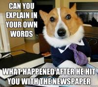 Lawyer Dog
