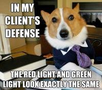 Lawyer Dog