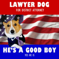 Lawyer Dog