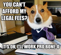 Lawyer Dog
