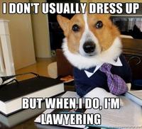 Lawyer Dog