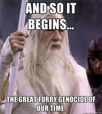So it begins/Foreboding Gandalf