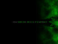 Smoke Weed Everyday