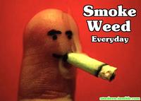 Smoke Weed Everyday