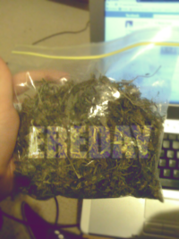 Smoke Weed Everyday