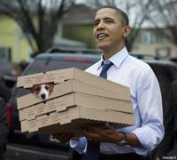 Obama the Eater of Dogs