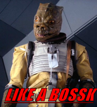 Like A Boss