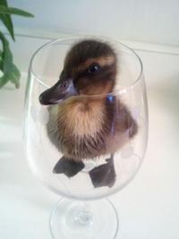 If It Fits I Sits