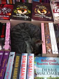If It Fits I Sits