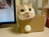 If It Fits I Sits