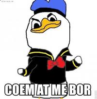 Dolan