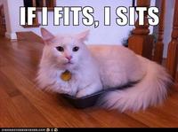 If It Fits I Sits